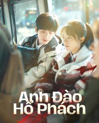 Anh Đào Hổ Phách