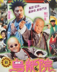 Thiếu Lâm Tiểu Tử 2 (Tân Ô Long Viện 2)